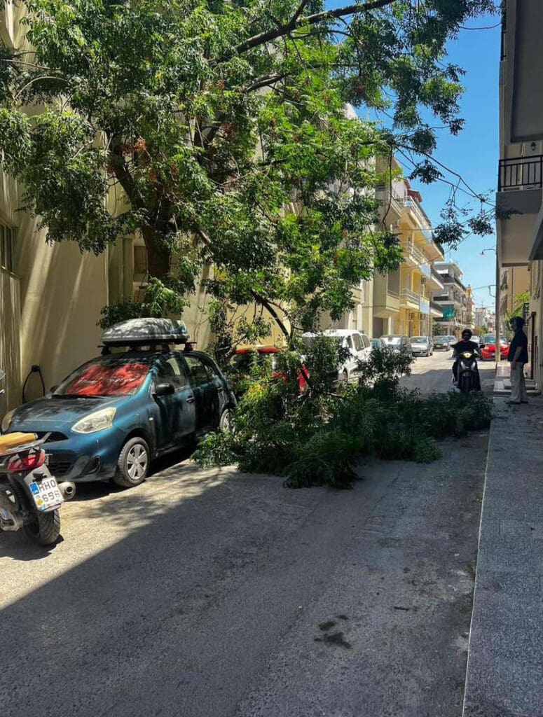 πτώση δέντρου