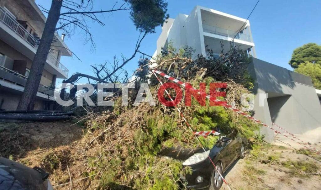 Πτώση δέντρου Ηράκλειο