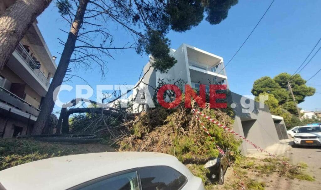 Πτώση δέντρου Ηράκλειο