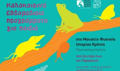 Μουσείο Φυσικής Ιστορίας Κρήτης