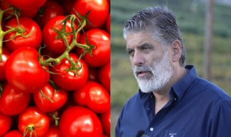 ΕΑΣΗ Ντομάτα