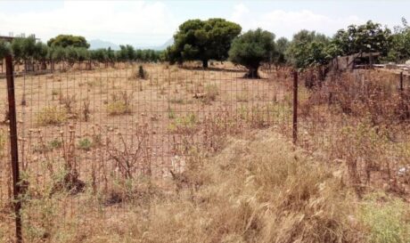 οικόπεδο