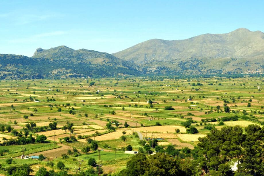 Οροπέδιο Λασιθίου Kronion Festival