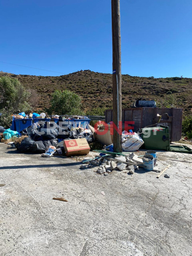 Σκουπίδια Λυγαριά