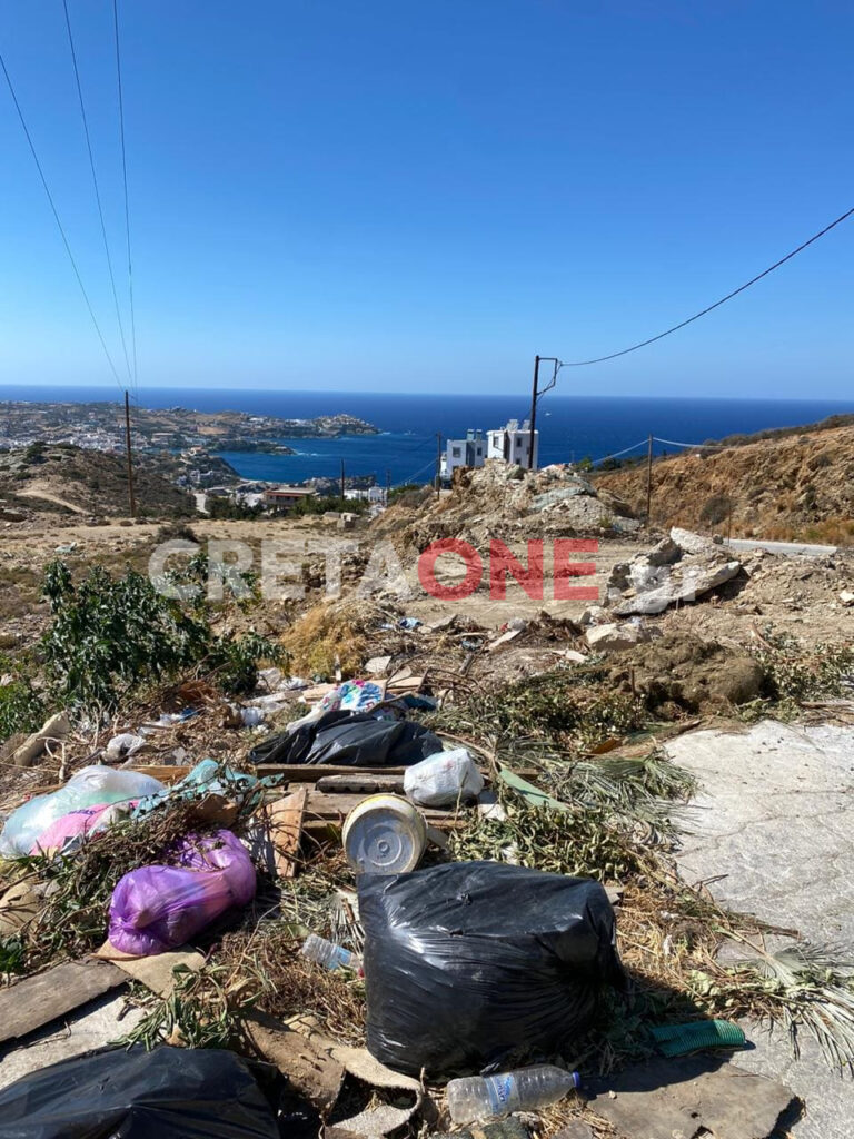Σκουπίδια Λυγαριά