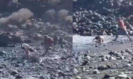 Τουρίστας