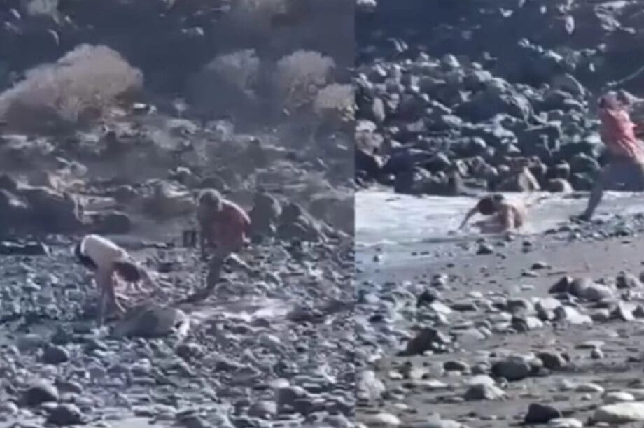 Τουρίστας