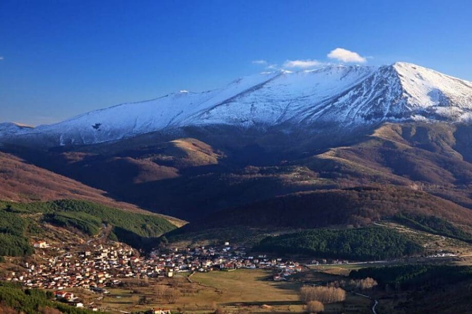 Βλάστη Κοζάνη