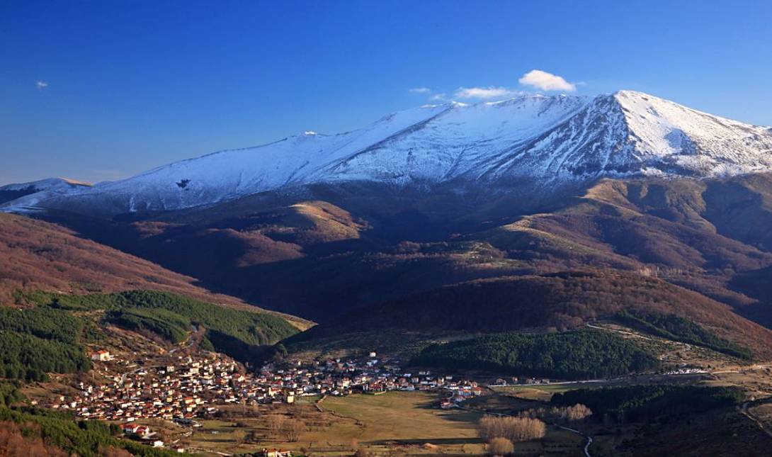 Βλάστη Κοζάνη