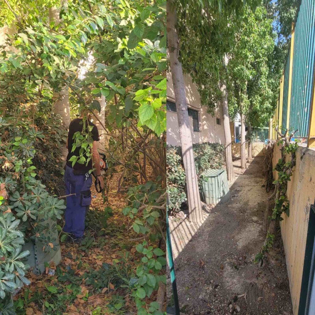 σχολειο καθαρισμός