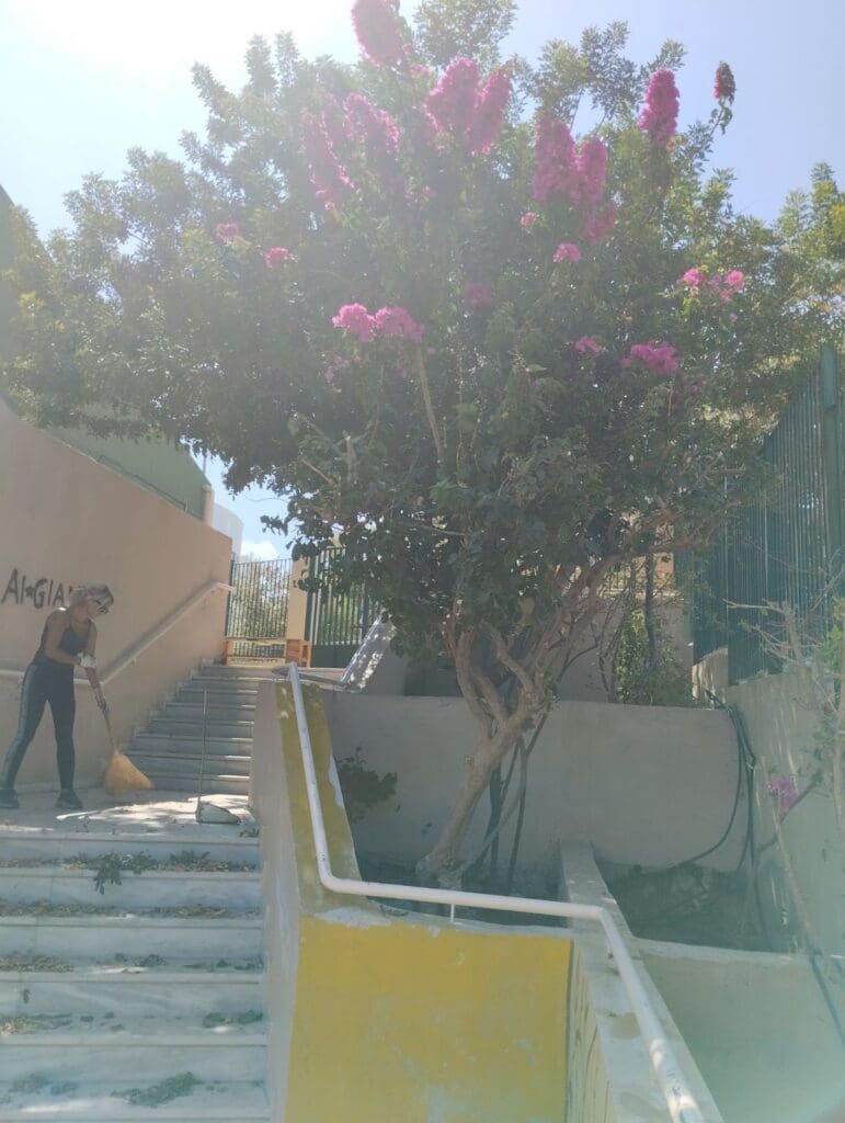 σχολείο καθαρισμός
