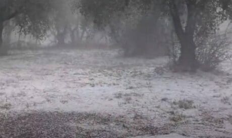 γαλαζόπτωση