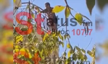 αυτοκτονία