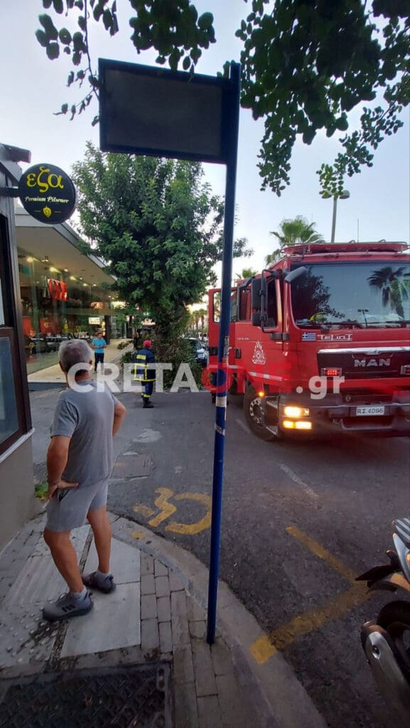 Κνωσσού δέντρο