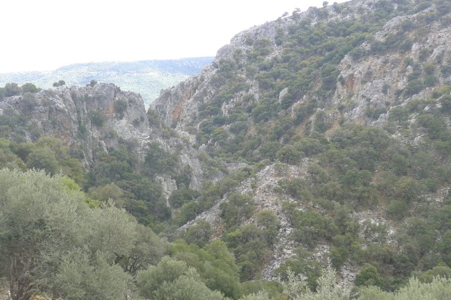 Φαράγγι Κρίτσας