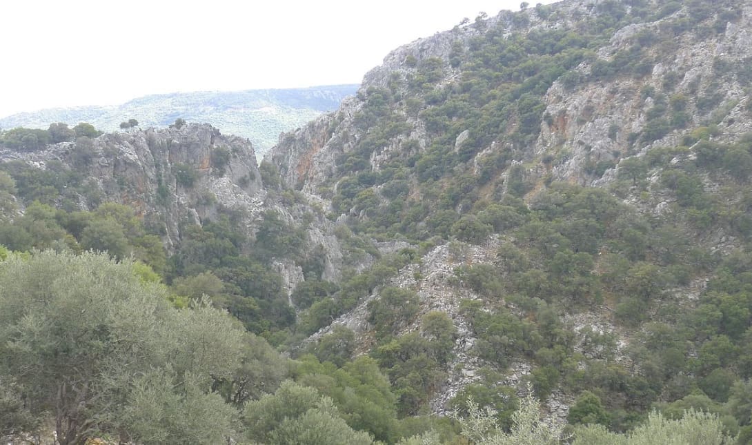 Φαράγγι Κρίτσας