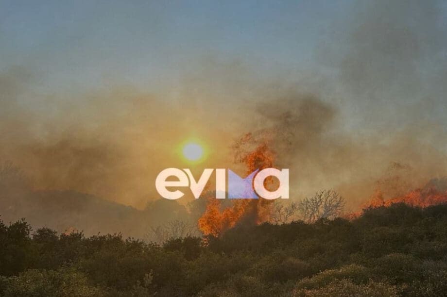 φωτιά Εύβοια