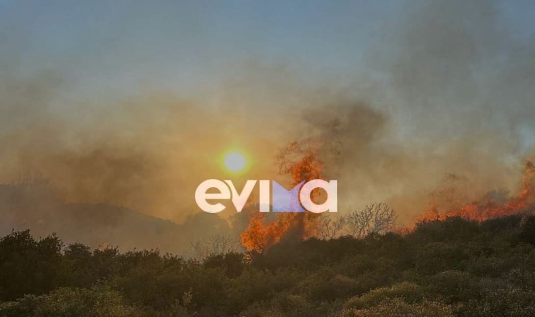 φωτιά Εύβοια