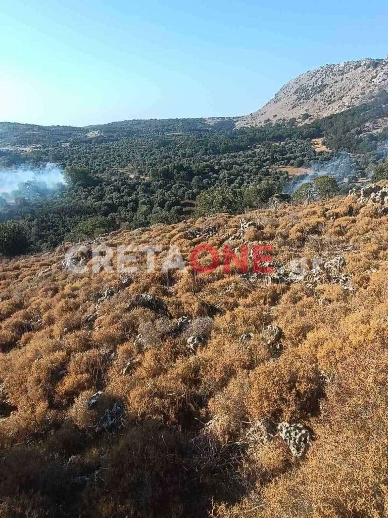 φωτιά Ρέθυμνο