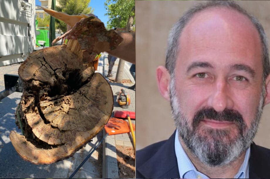 γιαλιτάκης