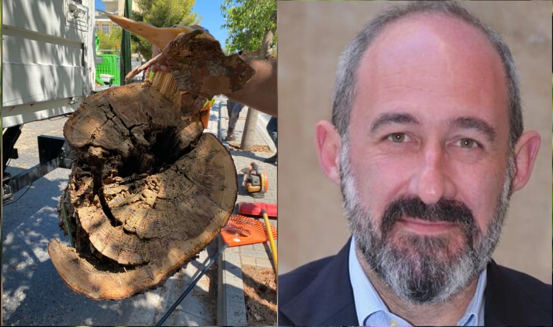 γιαλιτάκης