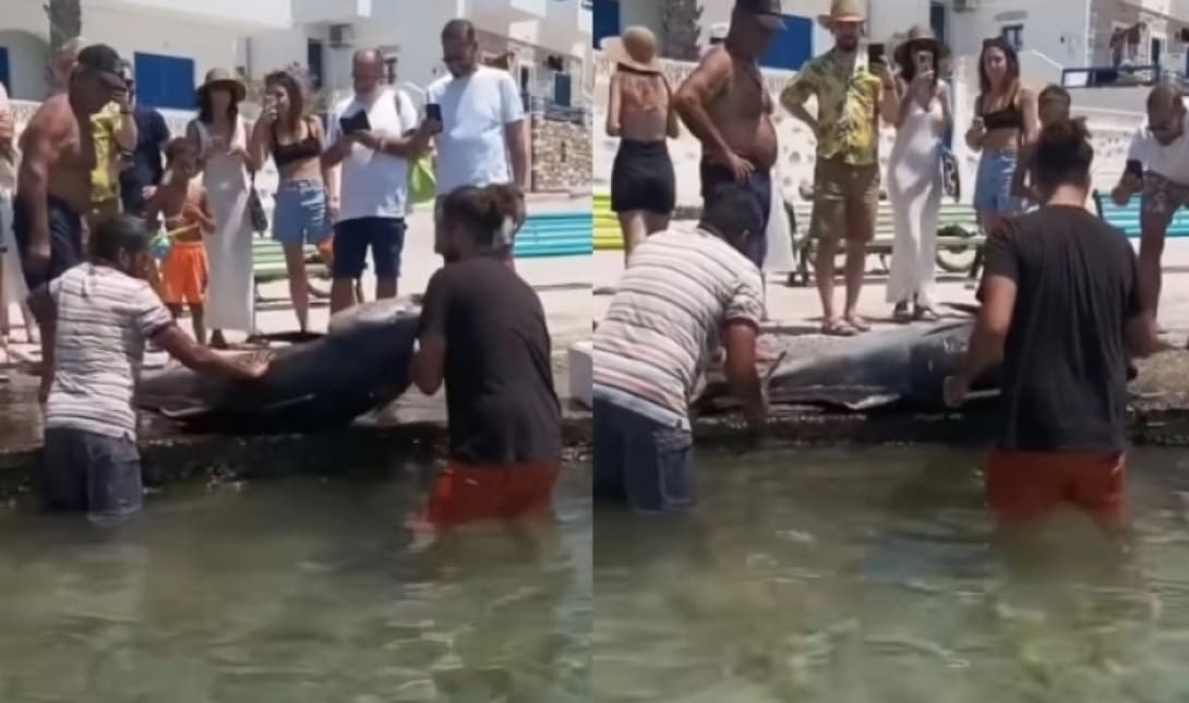 Κουφονήσια