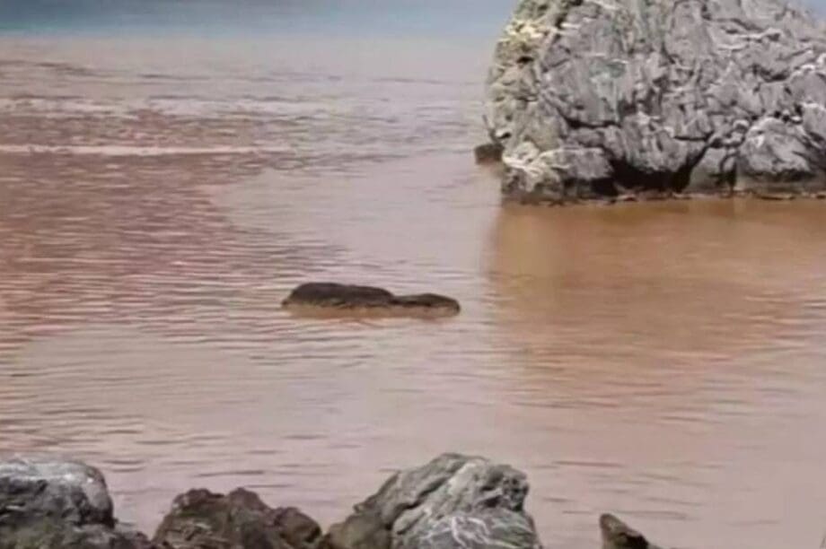 Μαριδάκι
