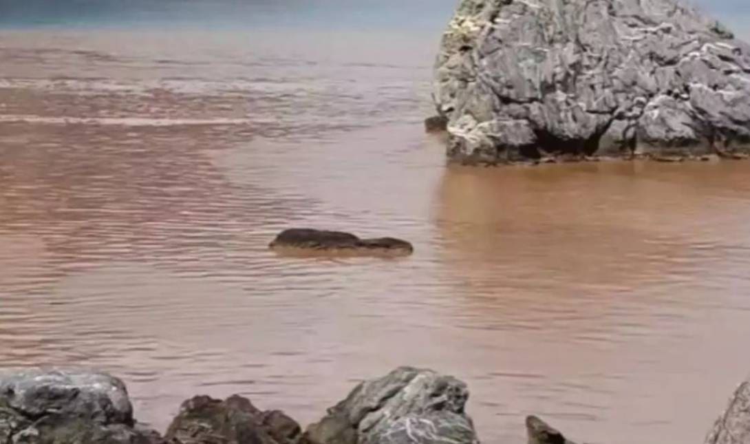 Μαριδάκι