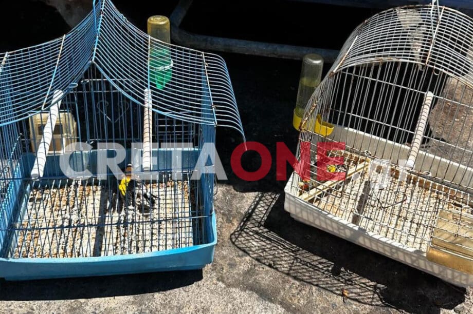 Πέταξαν στα σκουπίδια τα κλουβιά με τα πουλάκια