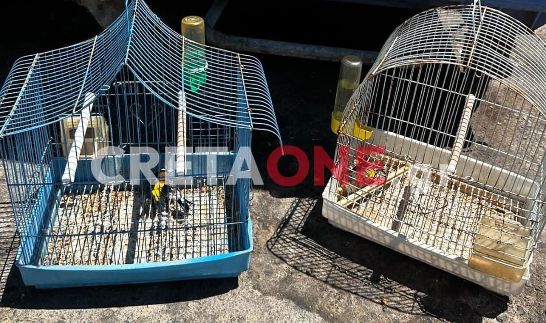 Πέταξαν στα σκουπίδια τα κλουβιά με τα πουλάκια