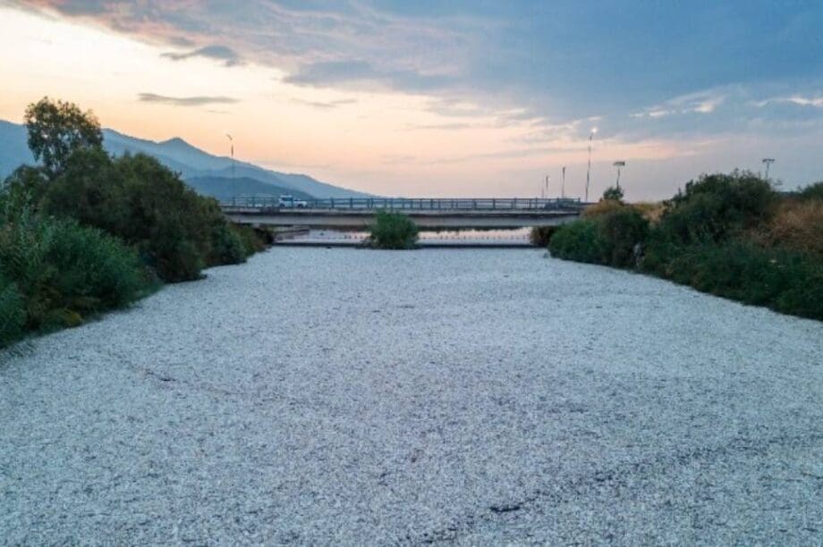 ψάρια