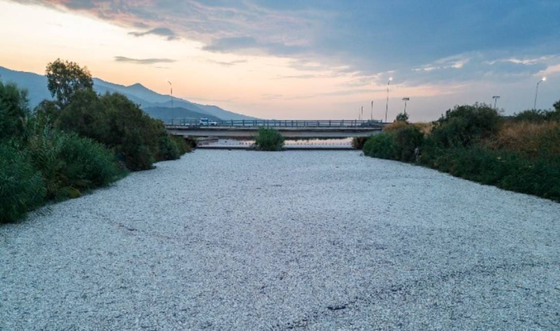 ψάρια