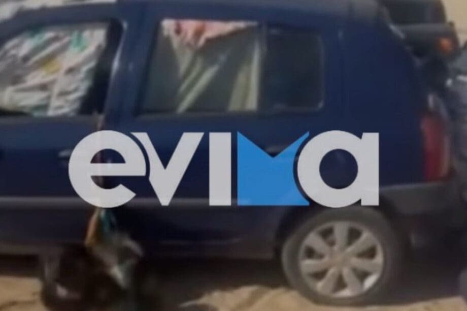 εύβοια σκύλος