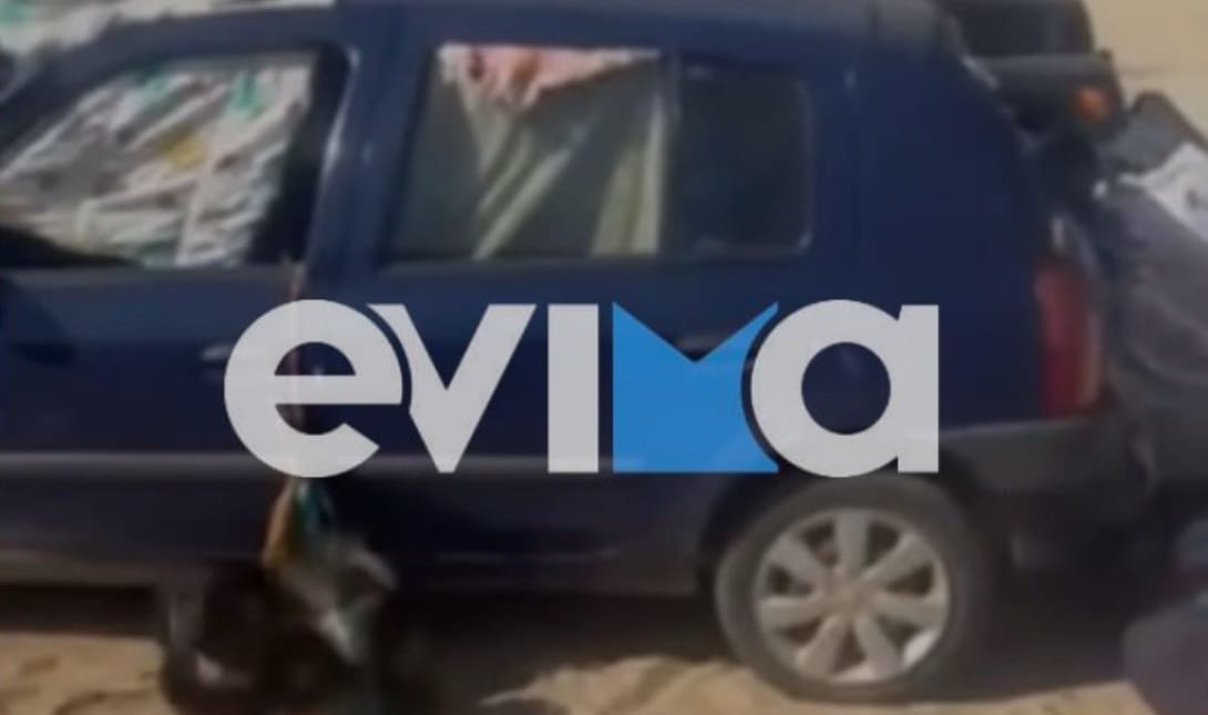 εύβοια σκύλος