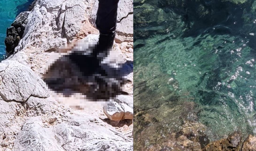σκύλος