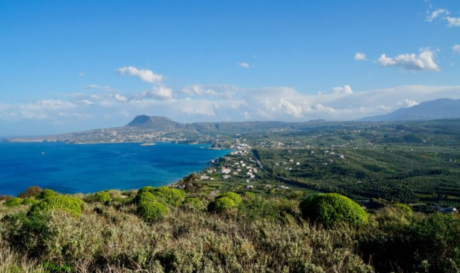 Βάμος