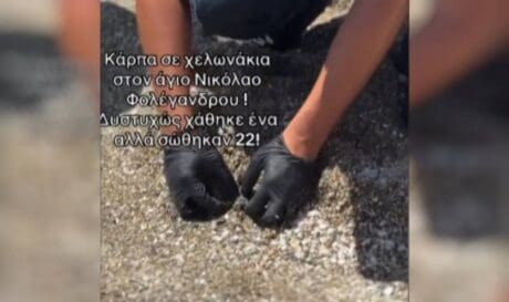 χελωνάκια