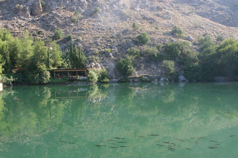 Ζαρός
