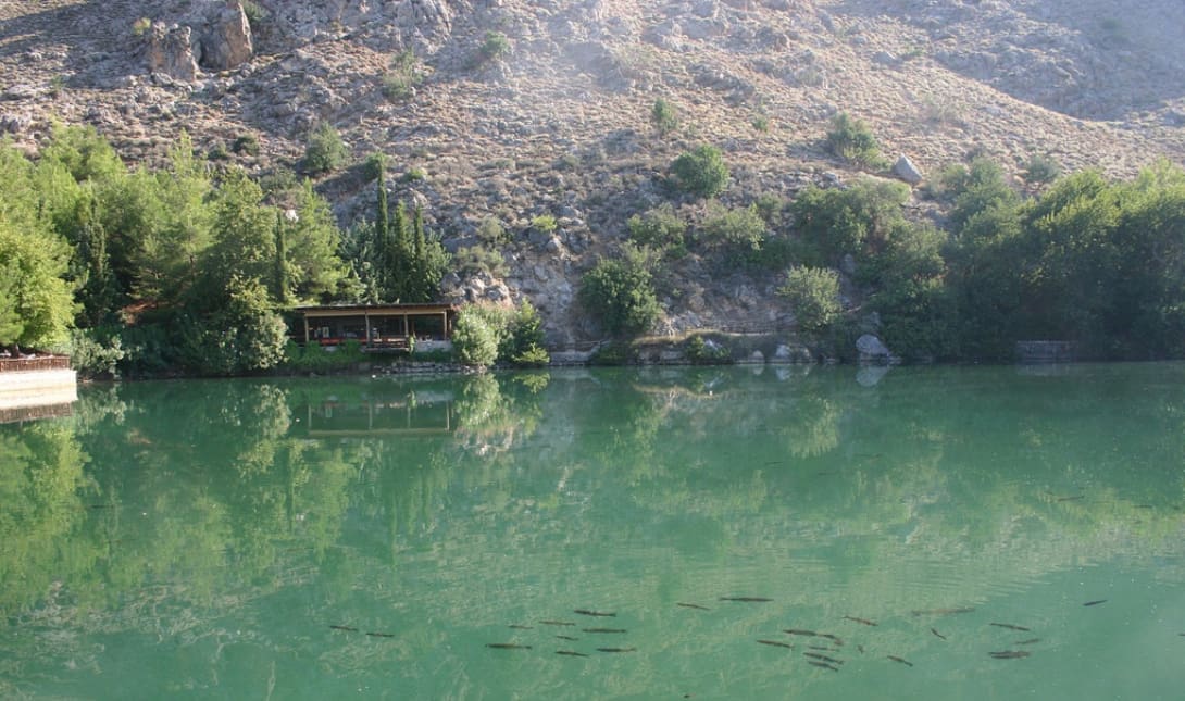 Ζαρός