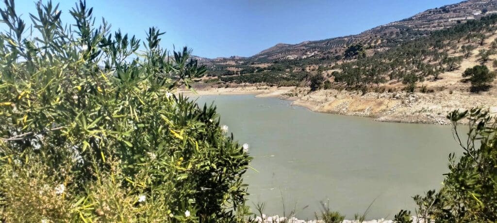 φραγμα παρτιρων 