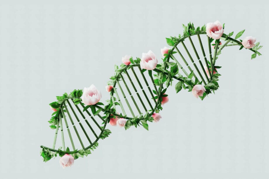 DNA