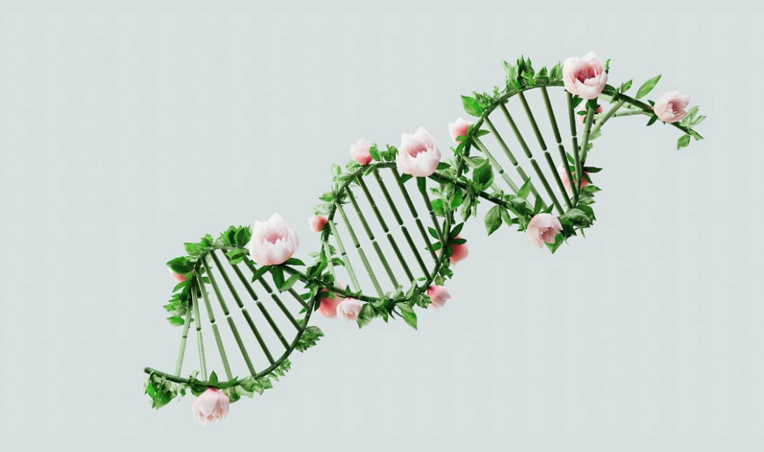 DNA