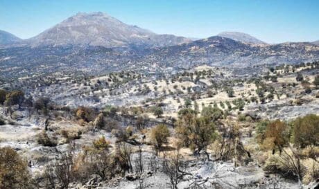 Δημος Αμαριου