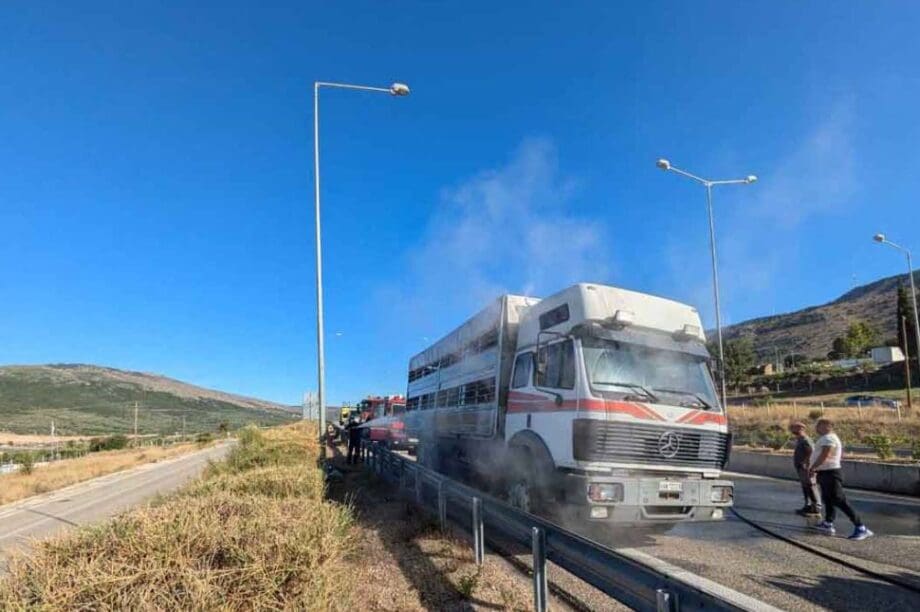 Αμφιλοχία