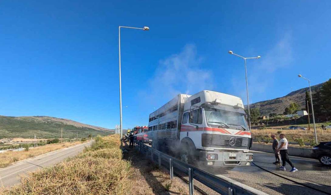 Αμφιλοχία