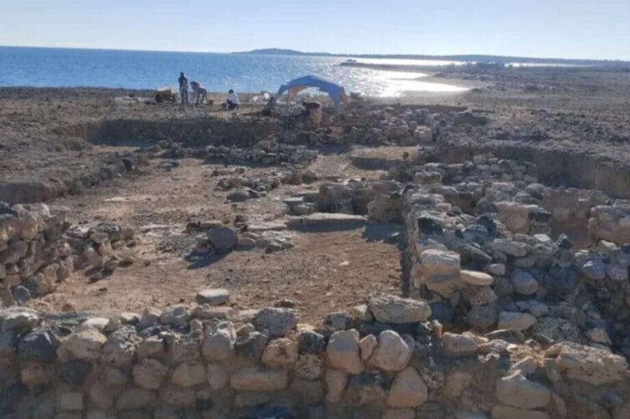 Λασίθι: Ζώα καταστρέφουν σε καθημερινή βάση τον αρχαιολογικό χώρο της Χρυσής