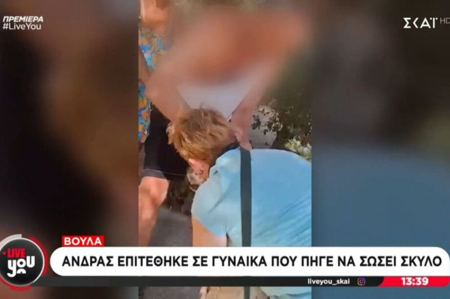 Βούλα σκύλος