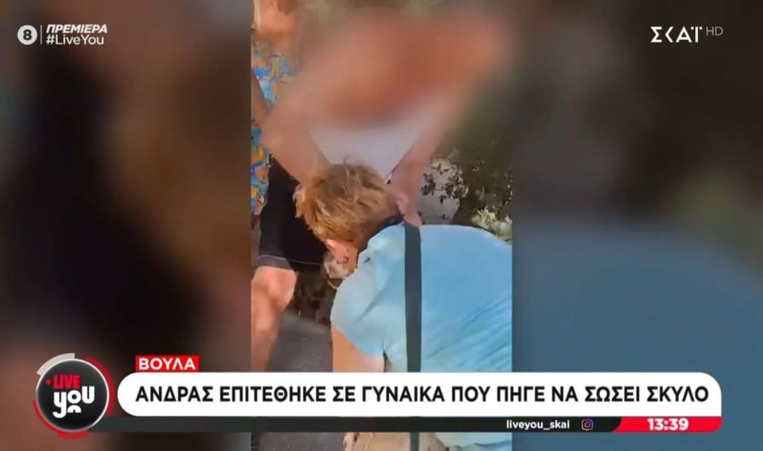 Βούλα σκύλος