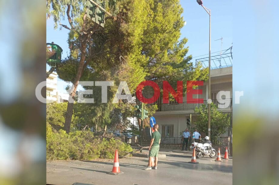 δέντρο