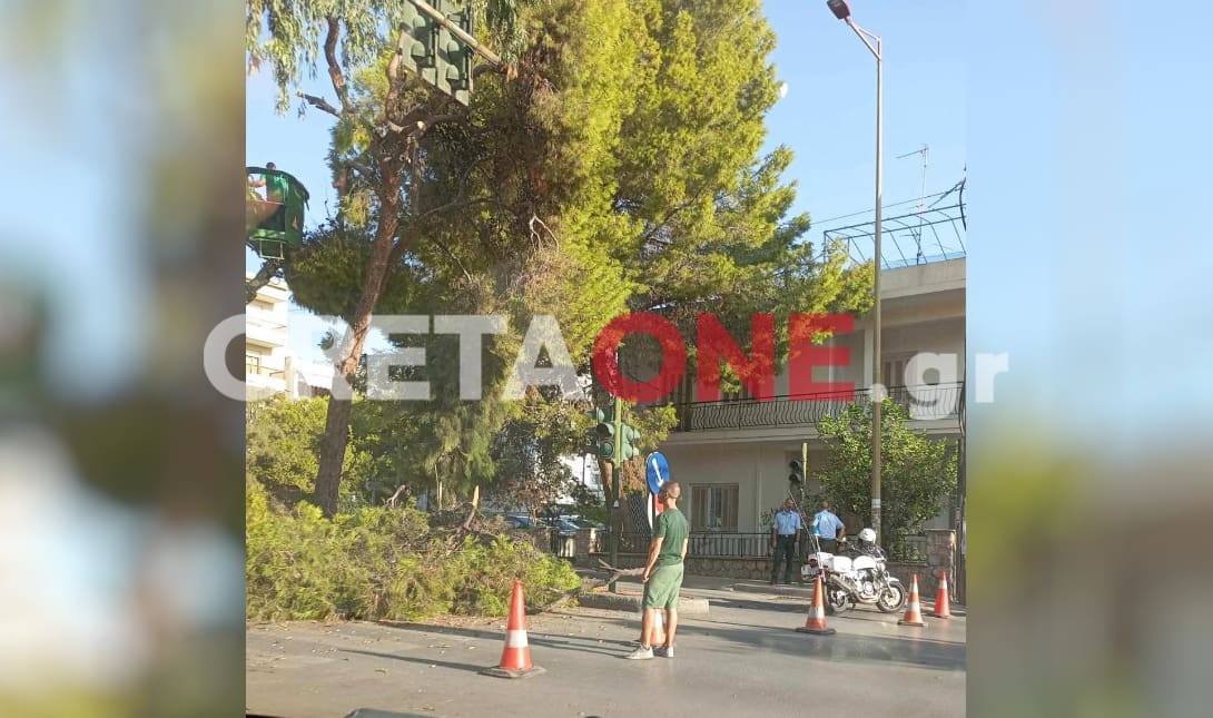 δέντρο